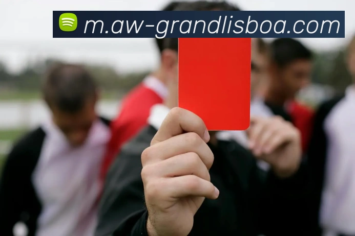 新葡京娱乐服务体系